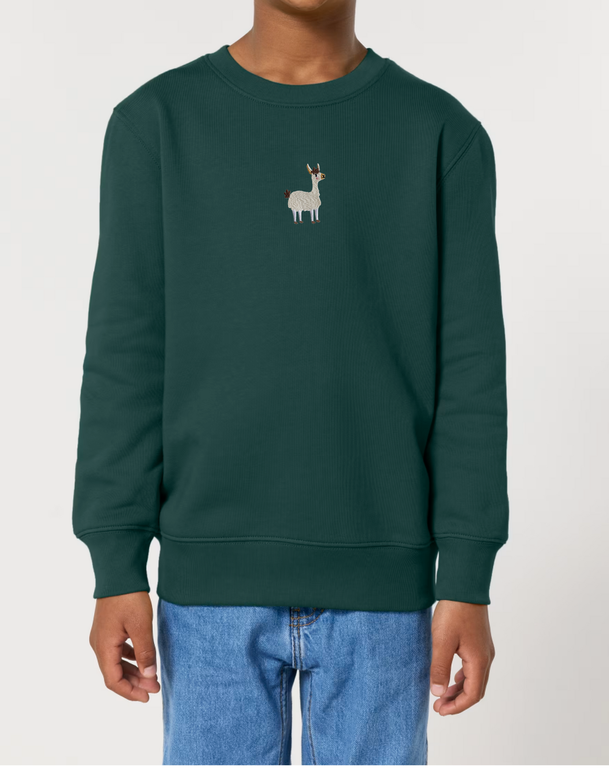 Embroidered Llama Kids T-Shirt Hoodie, Sweatshirt