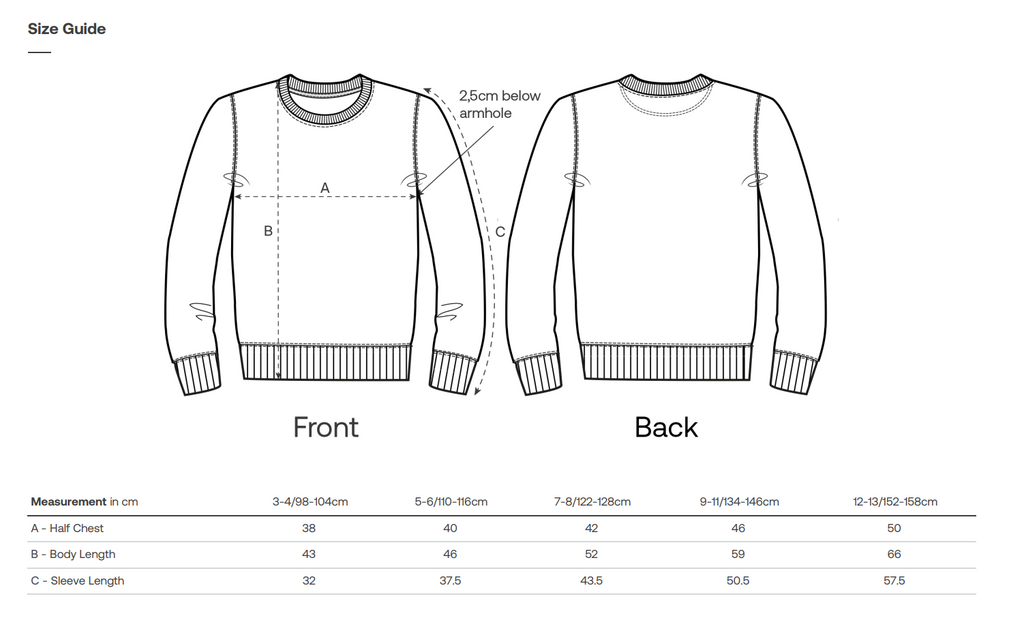 Kids neck sweatshirt with Air Balloon Embroidery